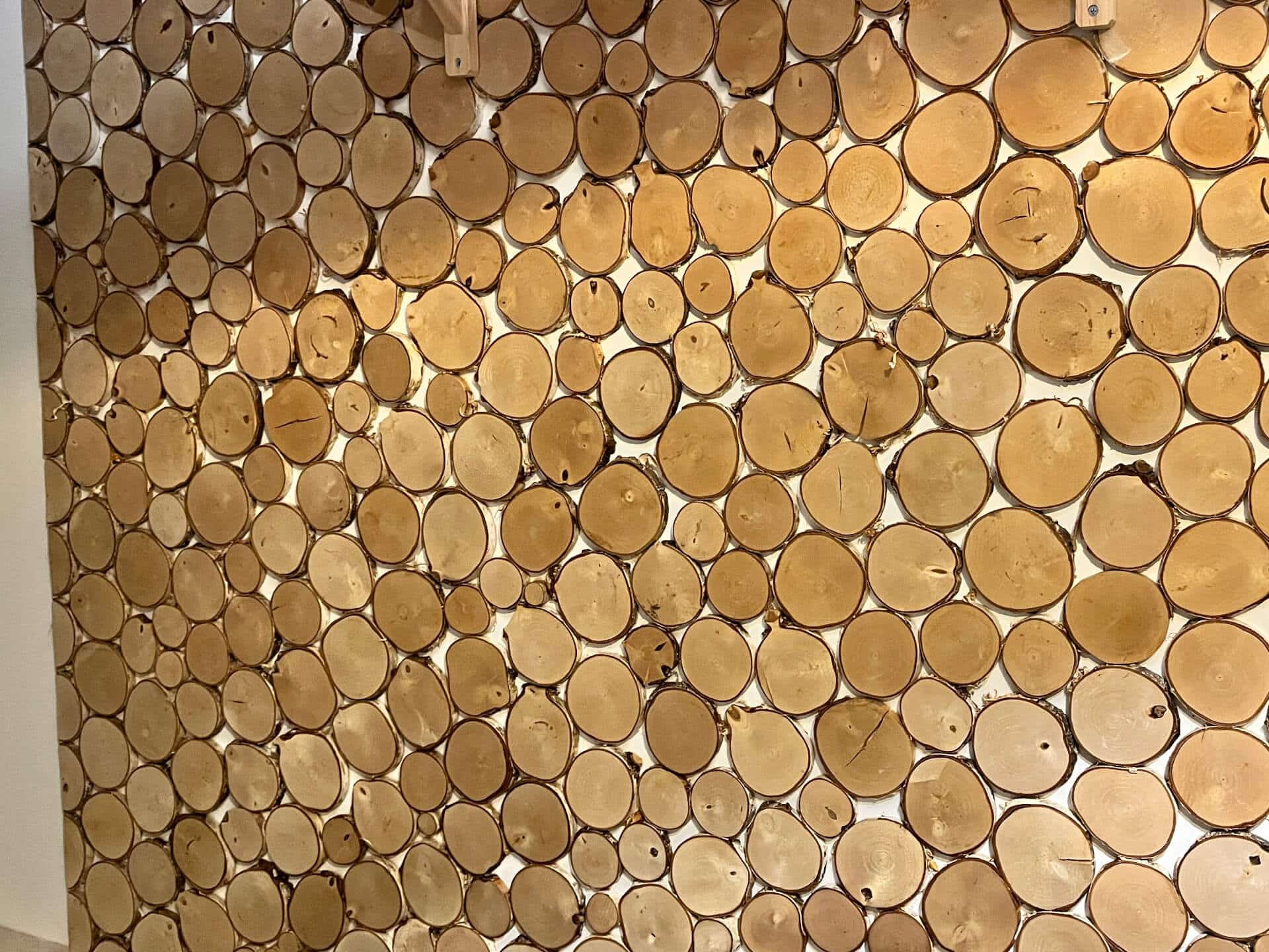 Ściana z plastrów drewna Częstochowa