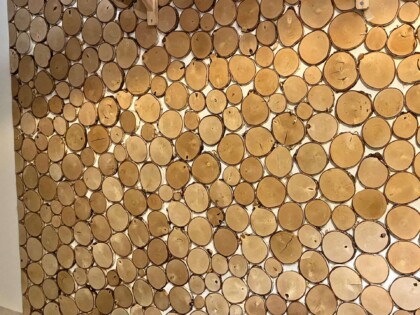 Ściana z plastrów drewna Częstochowa